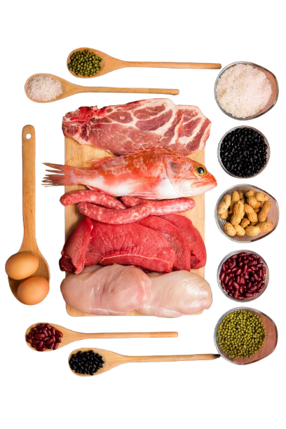 Protein